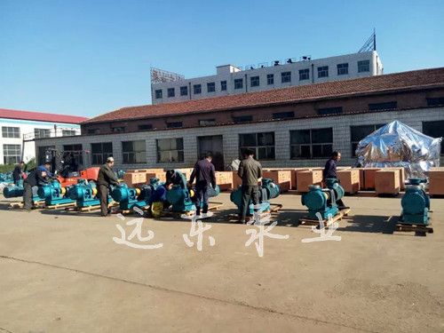 高粘度轉(zhuǎn)子泵 高粘度轉(zhuǎn)子泵