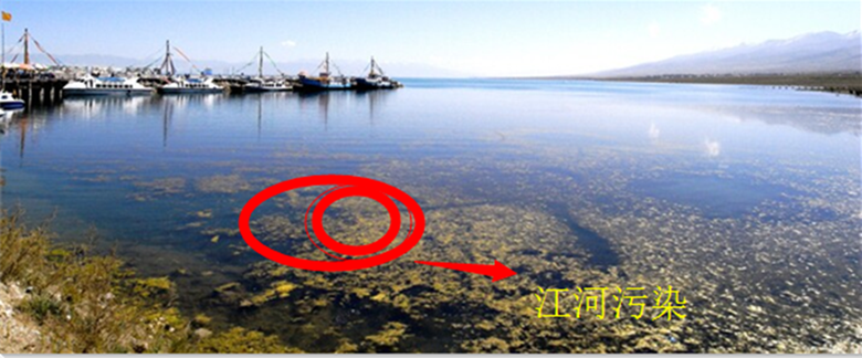 船用螺桿泵 船用螺桿泵