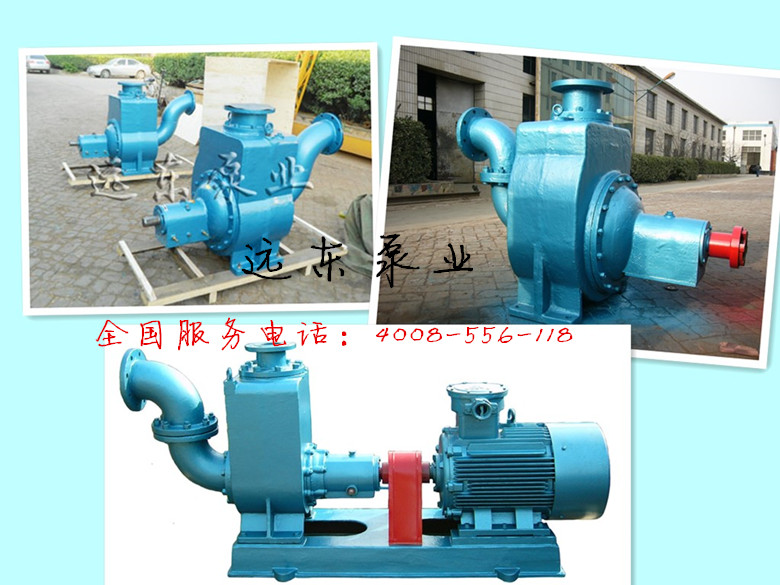 遠(yuǎn)東離心泵實(shí)物圖