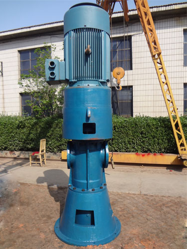 V立式雙螺桿泵 V立式雙螺桿泵