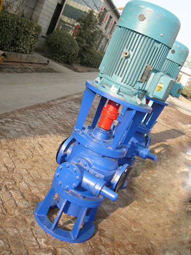 V立式雙螺桿泵 V立式雙螺桿泵