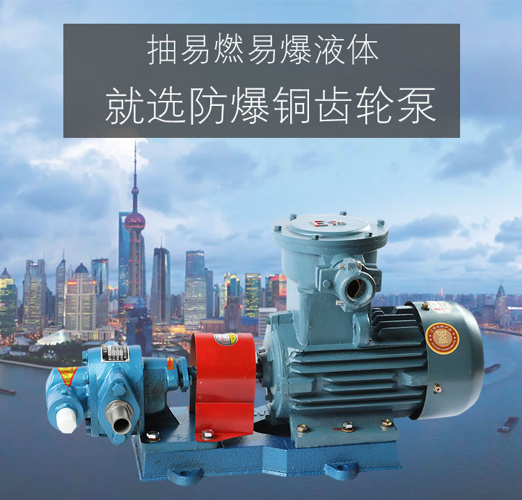 KCB防爆齒輪式輸油泵 KCB防爆齒輪式輸油泵