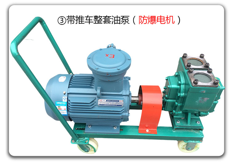 移動(dòng)式食用油卸車泵 移動(dòng)式食用油卸車泵