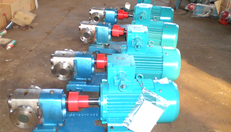 遠(yuǎn)東不銹鋼齒輪泵 遠(yuǎn)東不銹鋼齒輪泵