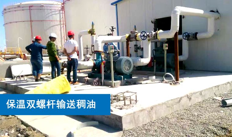 保溫雙螺桿泵 保溫雙螺桿泵