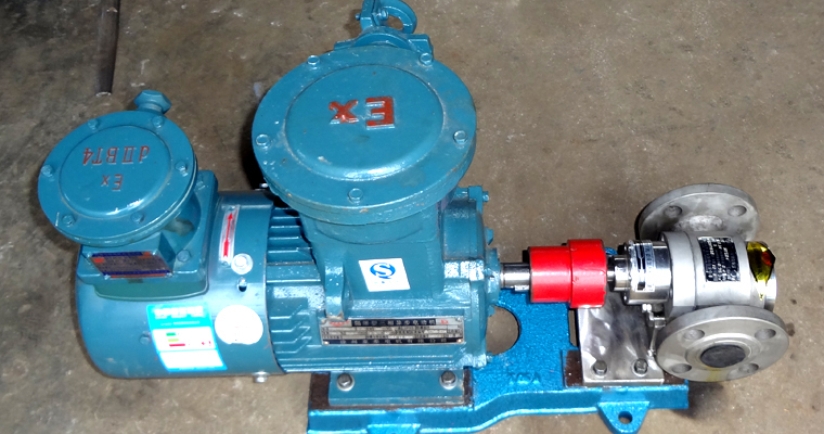 防爆不銹鋼齒輪泵 防爆不銹鋼齒輪泵