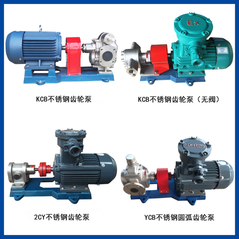 KCB不銹鋼齒輪泵 KCB不銹鋼齒輪泵