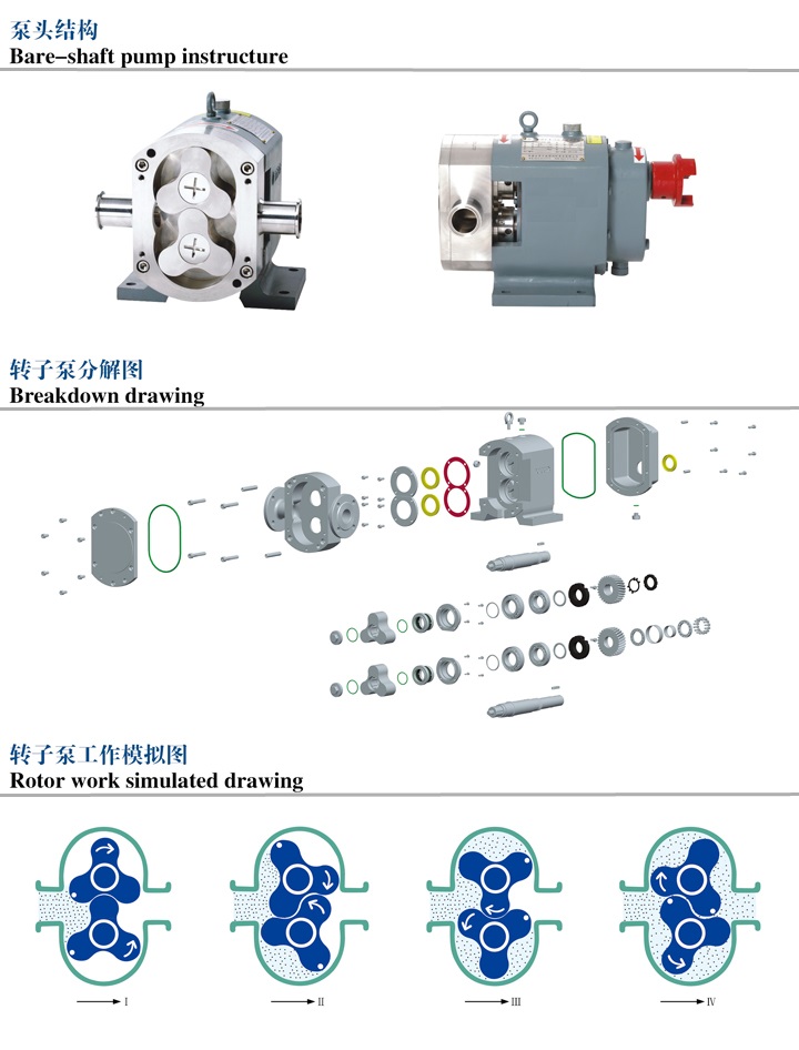 凸輪轉(zhuǎn)子泵