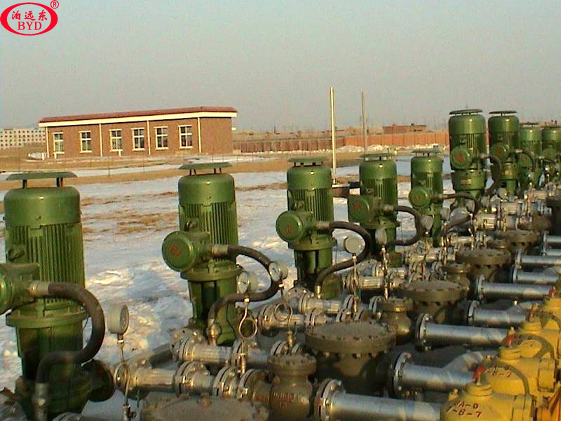 汽油柴油發(fā)車泵 汽油柴油發(fā)車泵