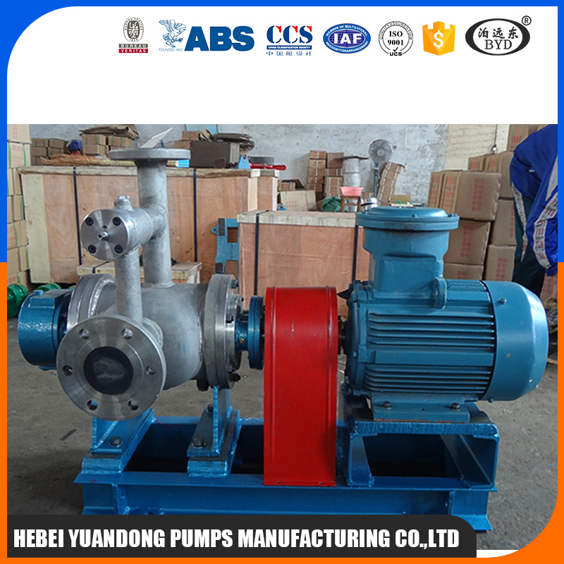 不銹鋼雙螺桿泵 不銹鋼雙螺桿泵