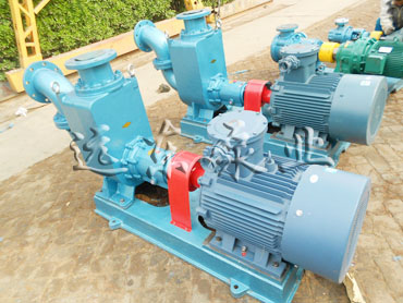 80CYZ-25自吸式離心泵目前發(fā)展現(xiàn)狀和未來發(fā)展方向