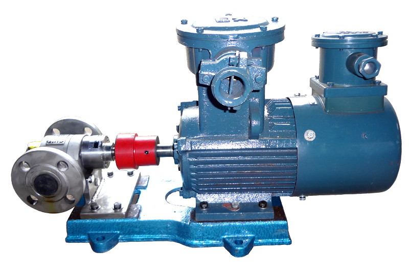 變頻調(diào)速不銹鋼齒輪泵 變頻調(diào)速不銹鋼齒輪泵